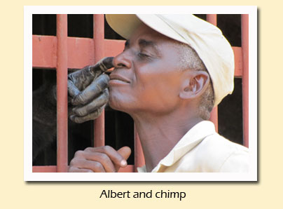 Alfred and chimp