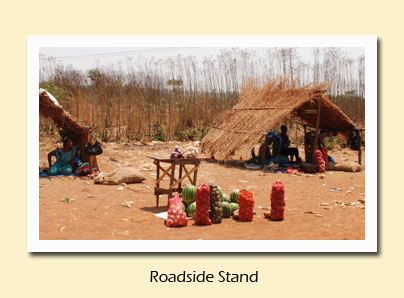 roadside stand