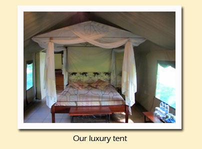 our tent