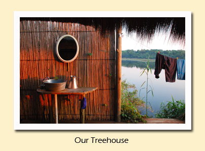 our treehouse