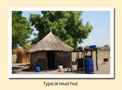 typical mud hut