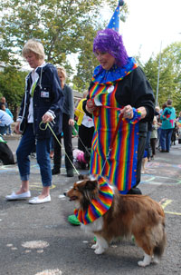 just a couple of rainbow clowns