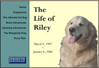 pet memorials
