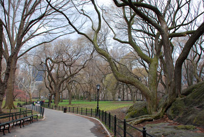 Central Park sidewalk