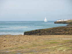 santa cruz beach